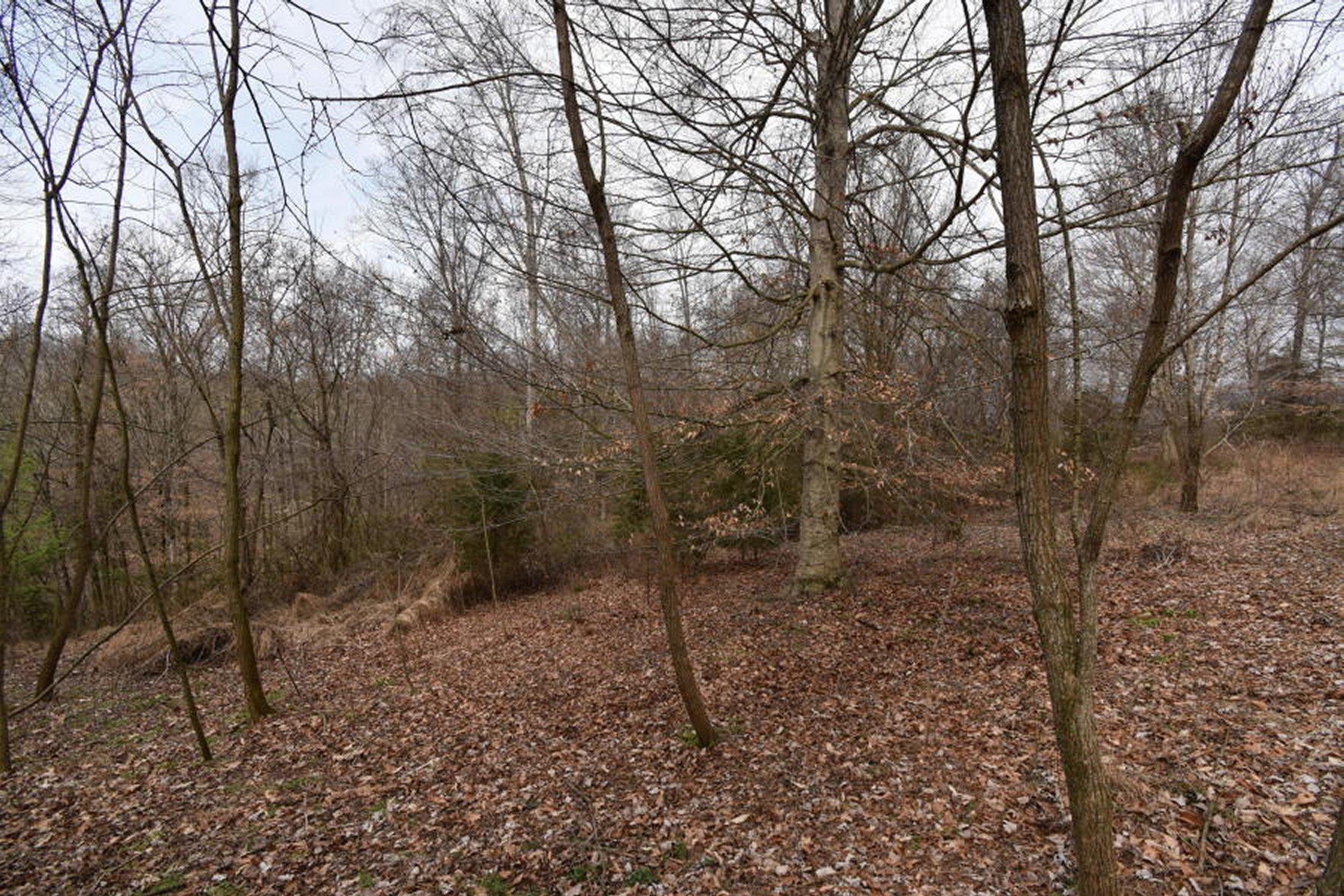 2297 Chinquipin Road Sneedville, TN 37869 - Photo 33 of 40 33