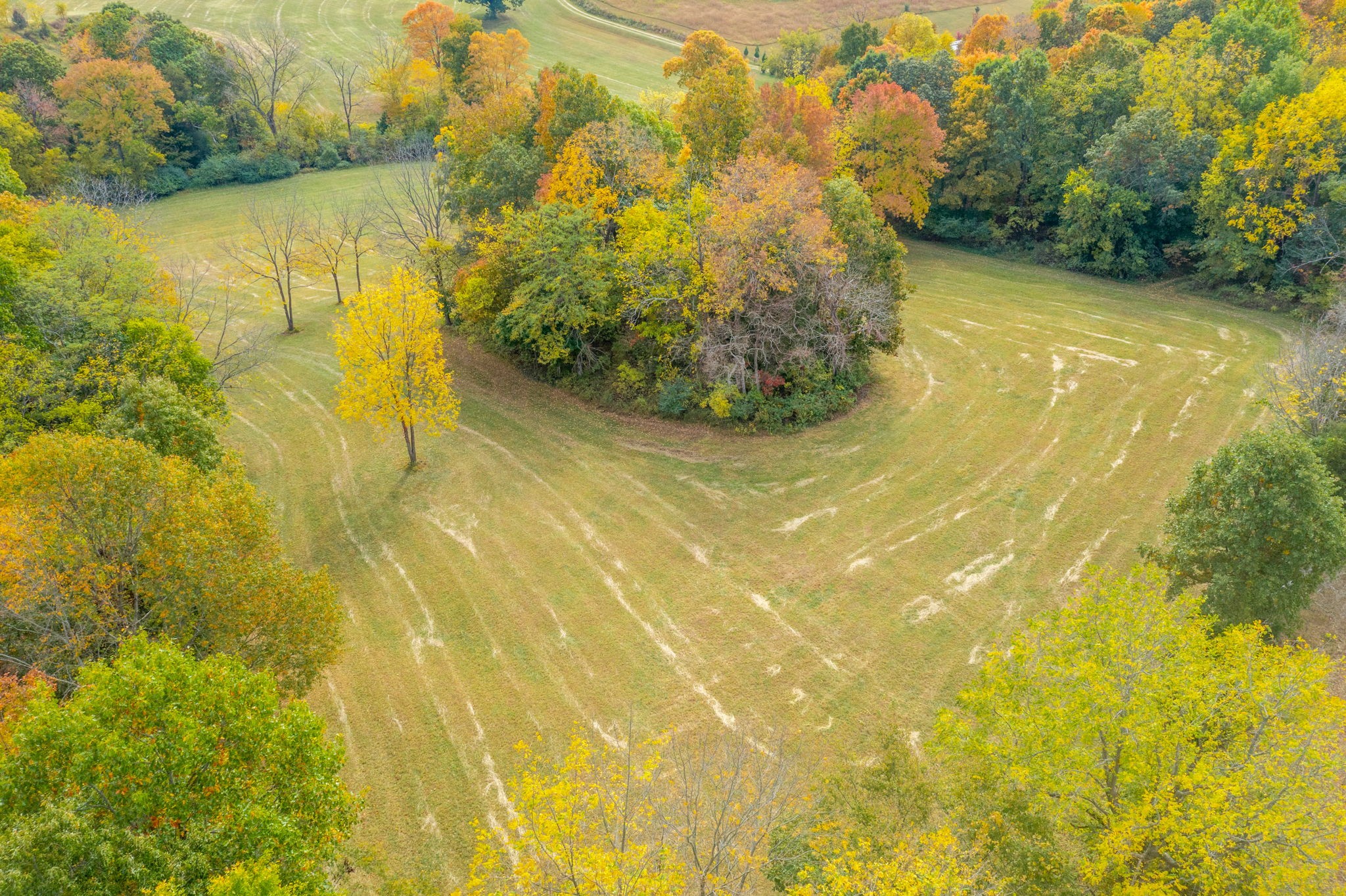 4600 Benson Road Springfield, TN 37172 - Photo 8 of 64