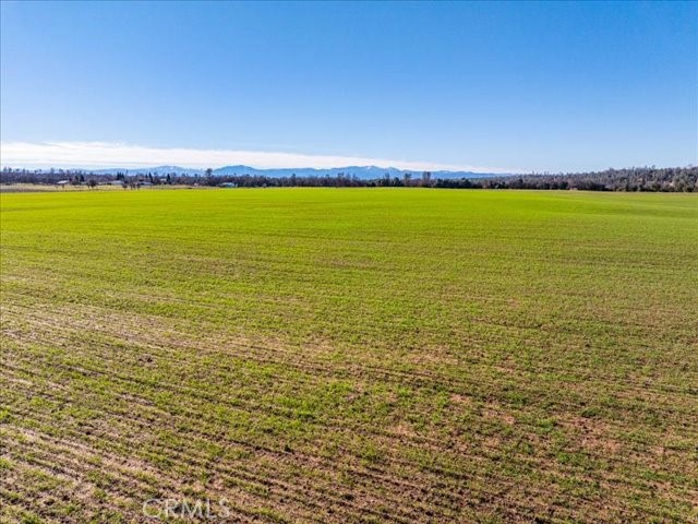 0 Old Gold Road Cottonwood, CA 96022 - Photo 12 of 53