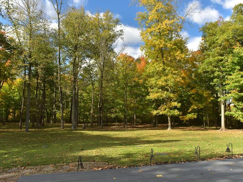 7689 West State Rte 29 De Graff, OH 43318 - Photo 4 of 14