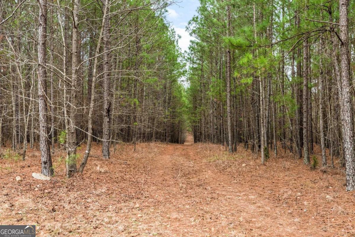 251 Winding River Road Eatonton, GA 31024 - Photo 12 of 15