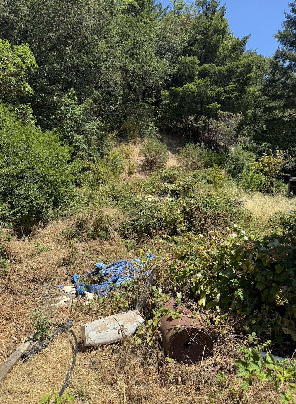 219 Rice Lane Hoopa, CA 95546 - Photo 10 of 26