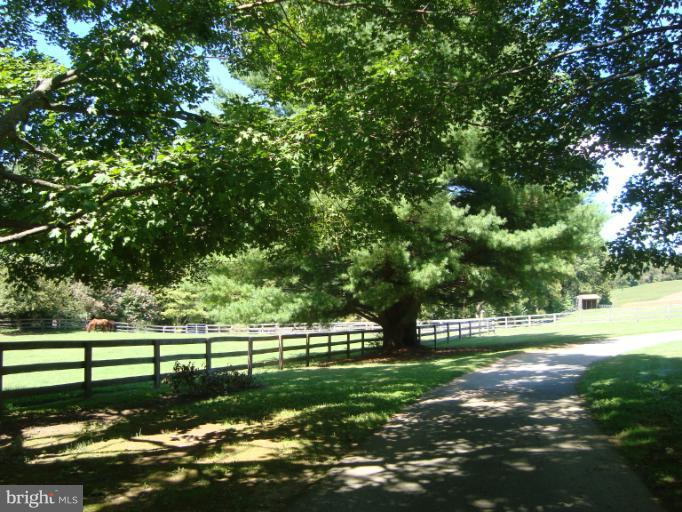 1311 Western Run Road Cockeysville, MD 21030 - Photo 15 of 24 Long Front Driveway