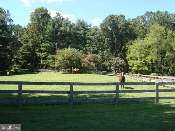 1311 Western Run Road Cockeysville, MD 21030 - Photo 22 of 24 Fenced Pasture