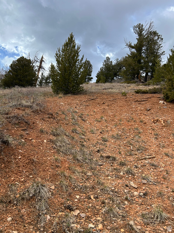 524 West Ski View Drive Brian Head, UT 84719 - Photo 5 of 11 Image quality insufficient for description