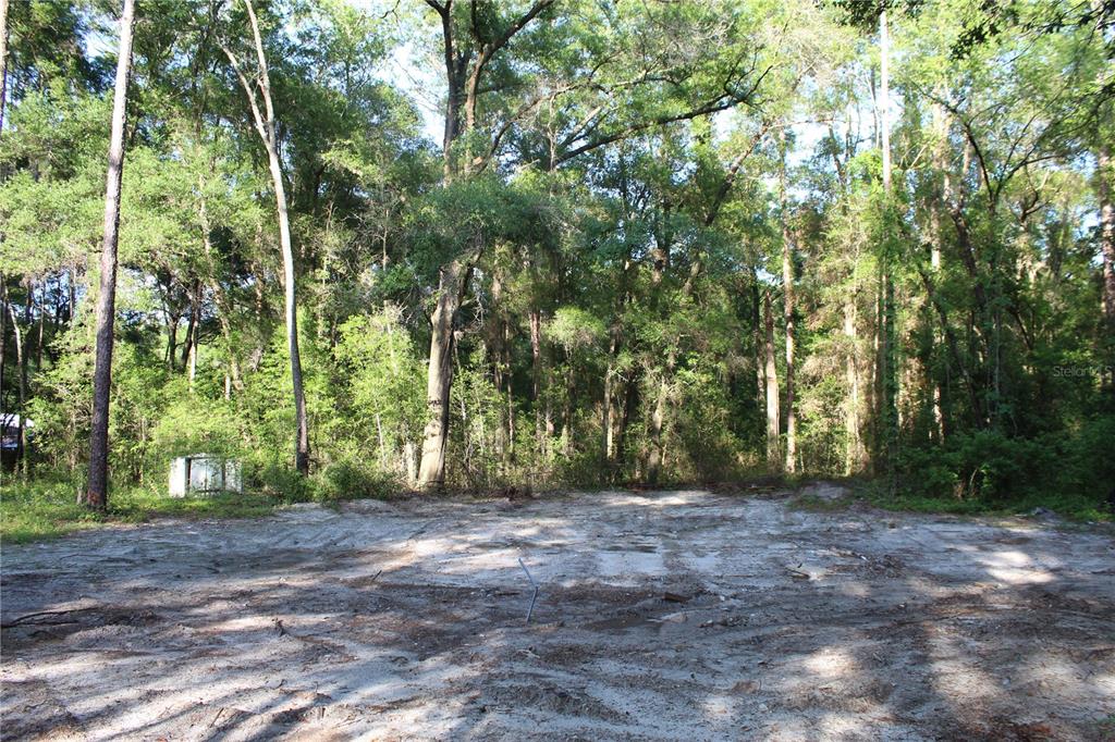 15821 Redbird Road Archer, FL 32618 - Photo 5 of 22