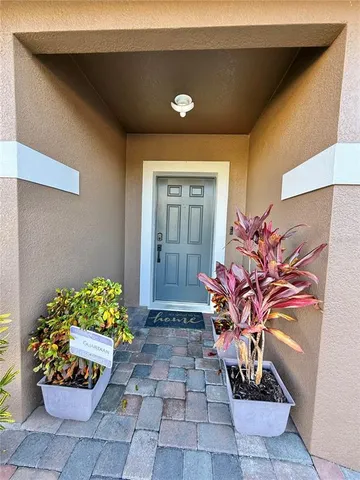 a flower pot with some potted plants