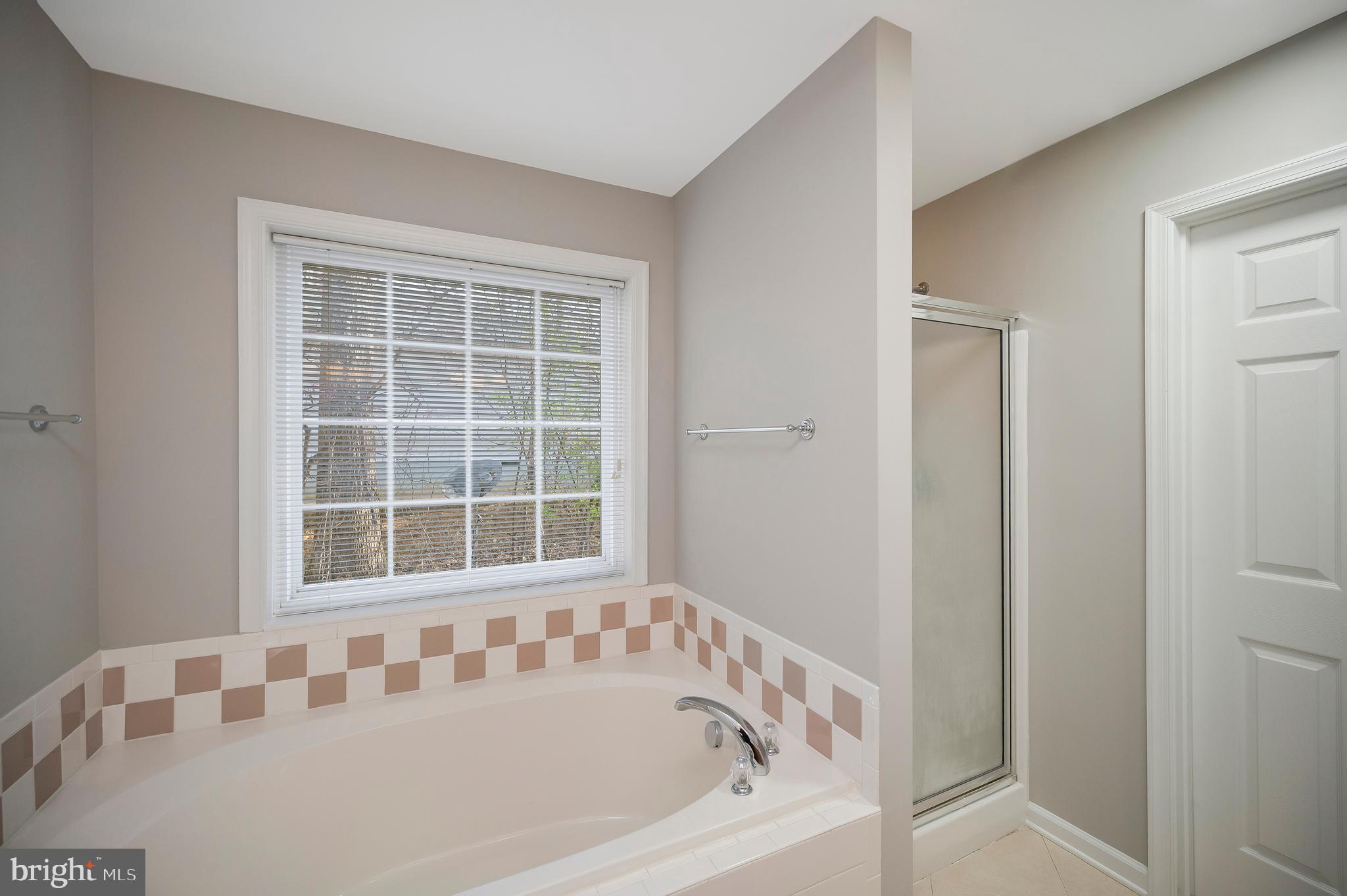 550 Harrison Circle Locust Grove, VA 22508 - Photo 17 of 39 Soaking tub and walk in shower in this ensuite.