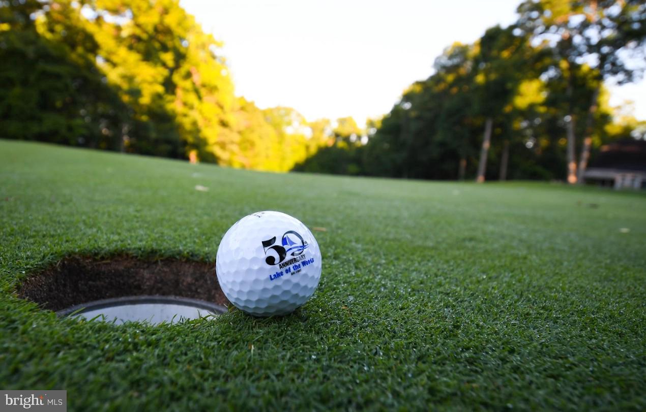 550 Harrison Circle Locust Grove, VA 22508 - Photo 35 of 39 18-hole PGA golf course.