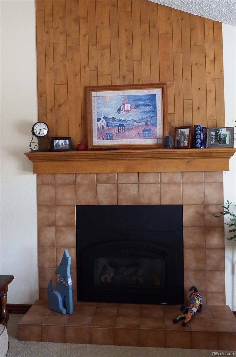 2723 Remington Road Elizabeth, CO 80107 - Photo 10 of 22 Gallery Image 10