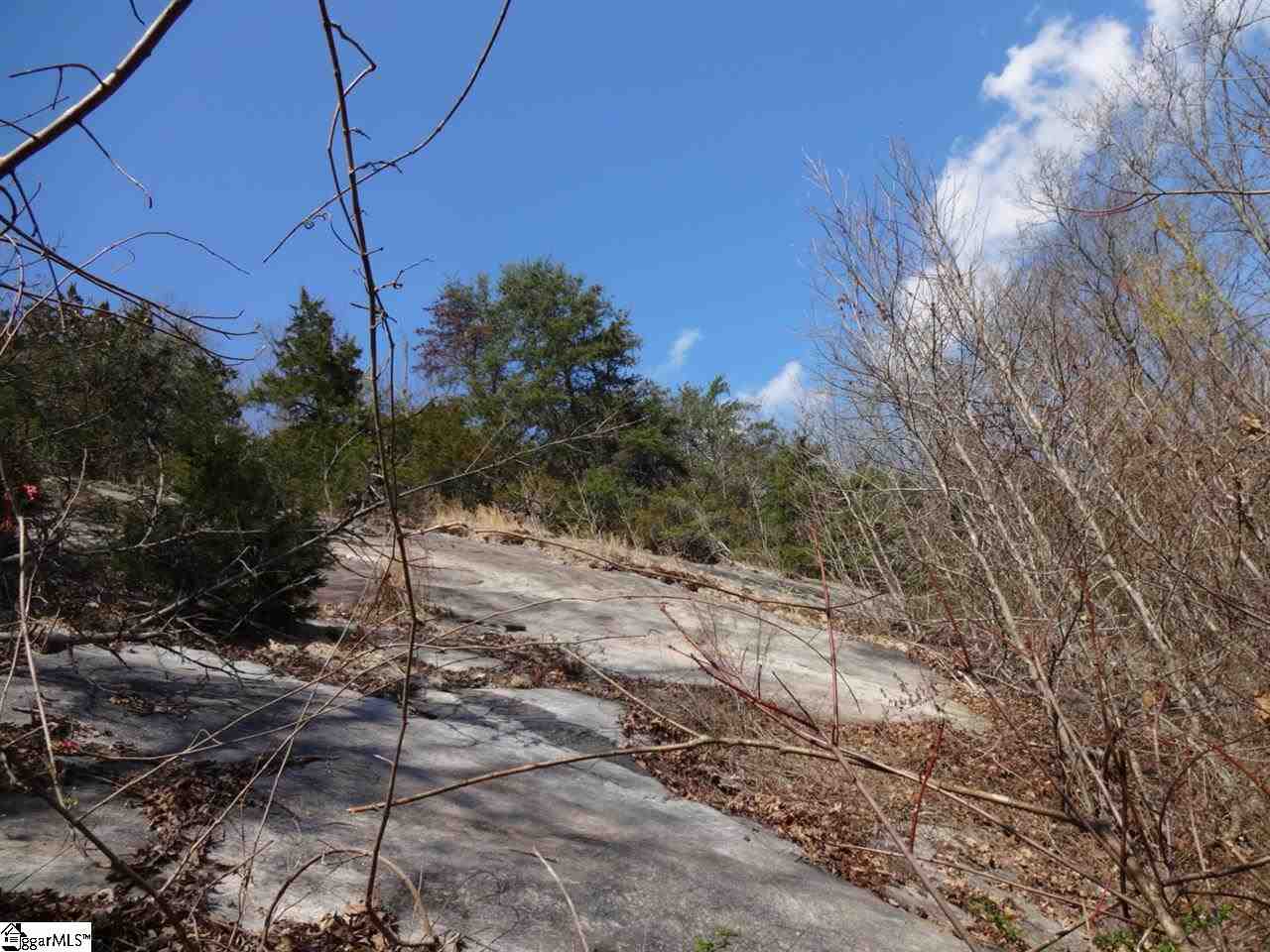 Earles Bridge Road Easley, SC 29640 - Photo 4 of 35