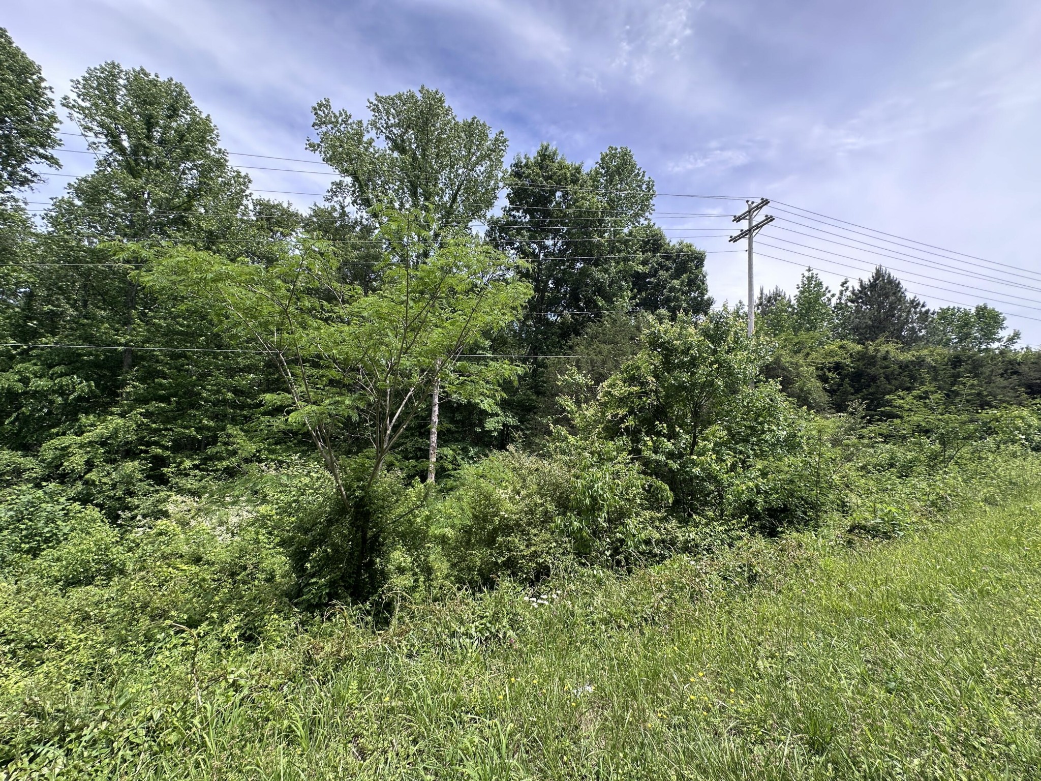 0 Keith Road Ringgold, GA 30736 - Photo 2 of 8 Gallery Image 2