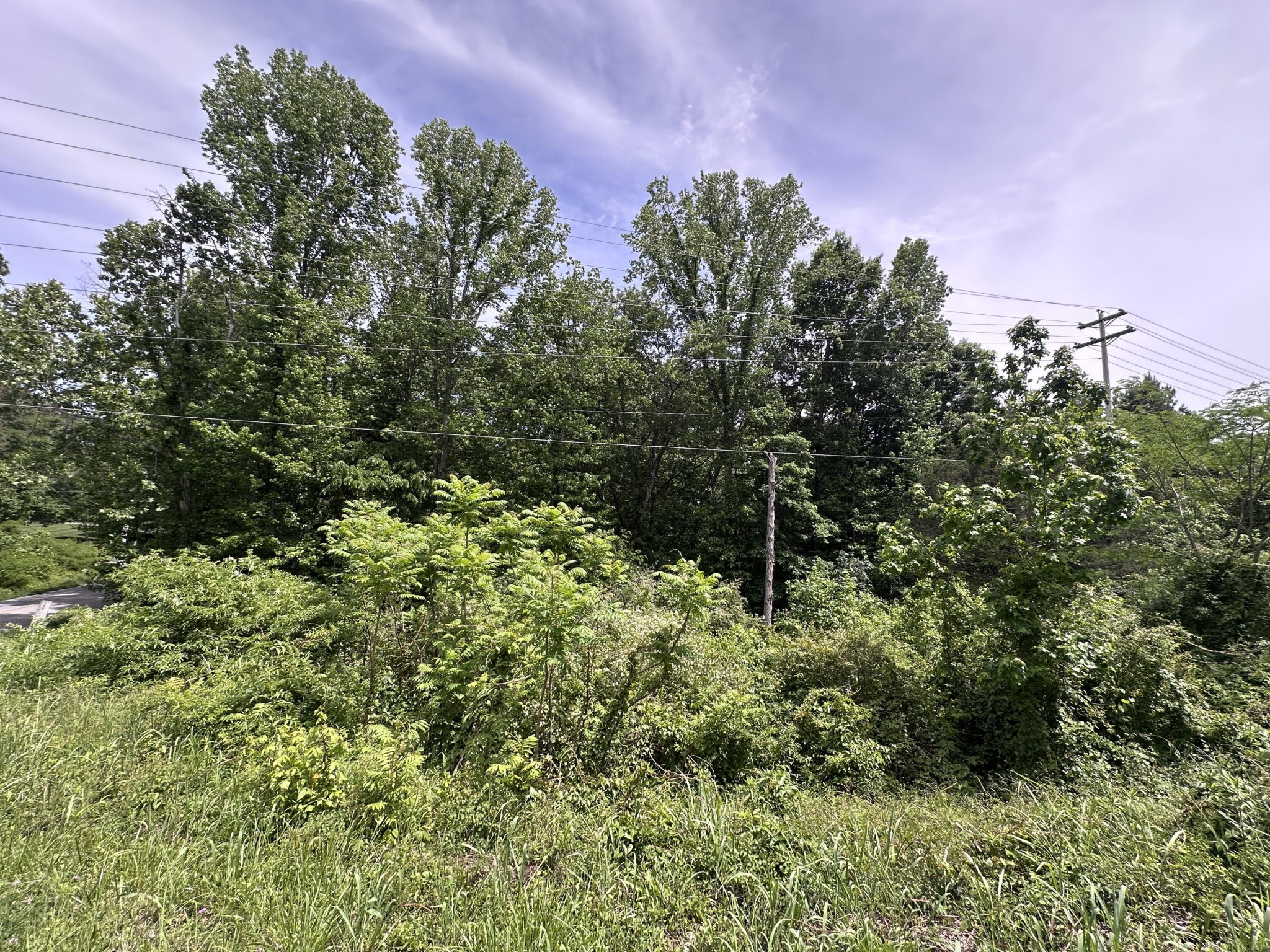 0 Keith Road Ringgold, GA 30736 - Photo 3 of 8 Gallery Image 3