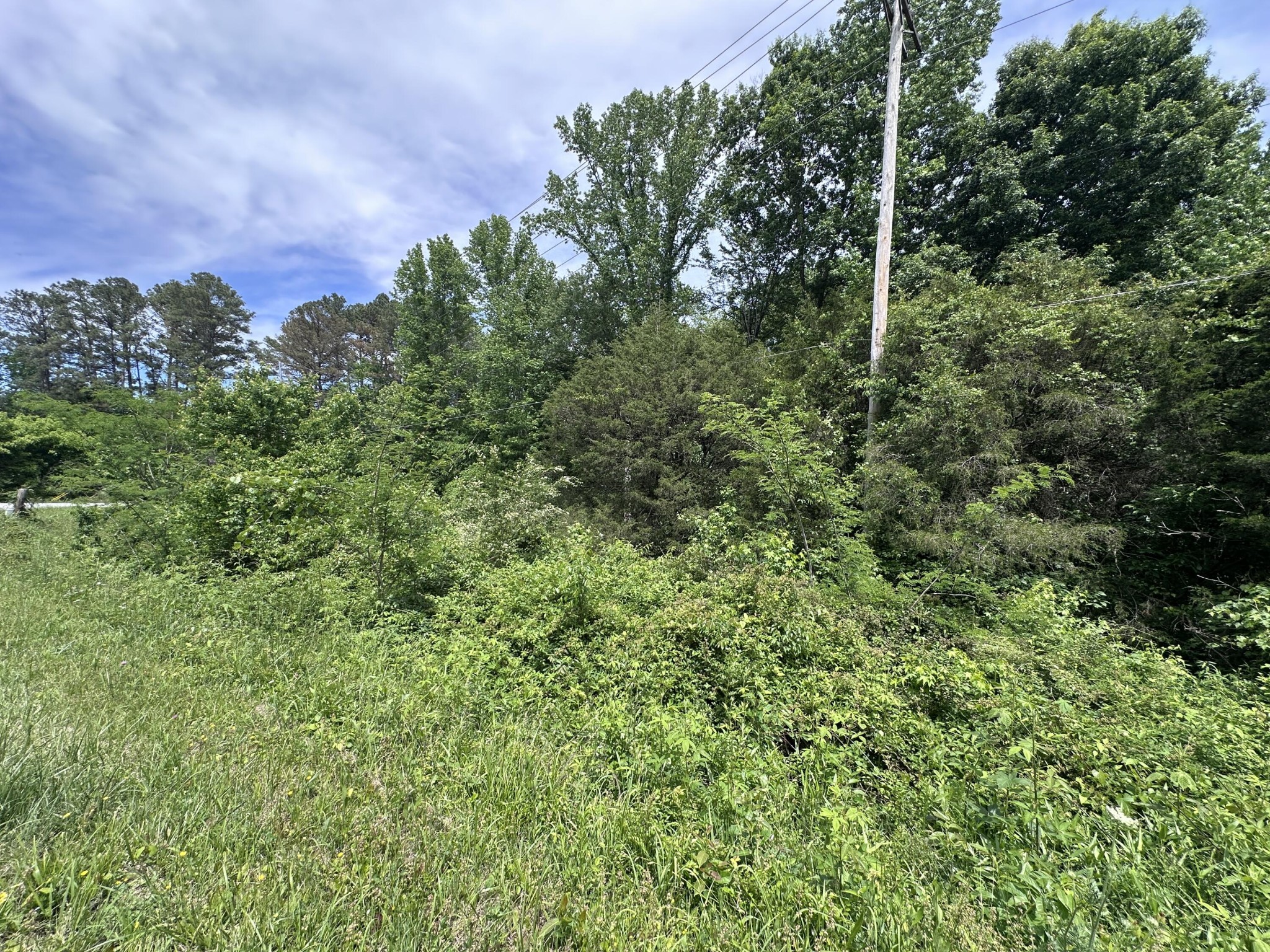 0 Keith Road Ringgold, GA 30736 - Photo 6 of 8 Gallery Image 6
