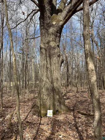 $139,900 | 21 Hwy 63 Shell Lake, Shell Lake, WI 54871