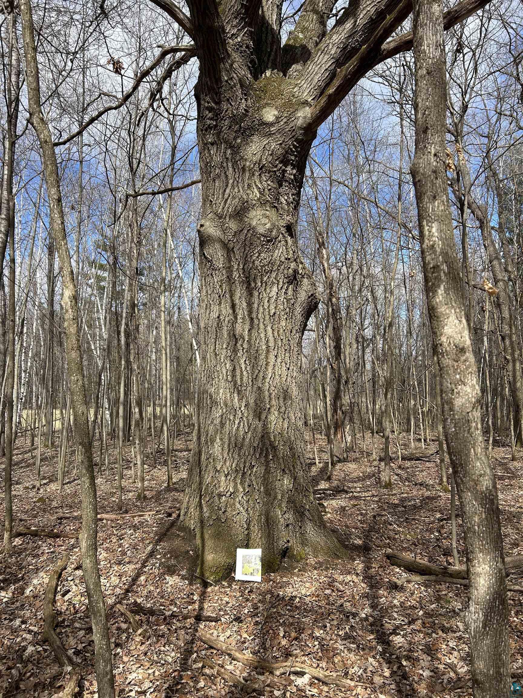 21 Hwy 63 Shell Lake Shell Lake, WI 54871 - Photo 11 of 39