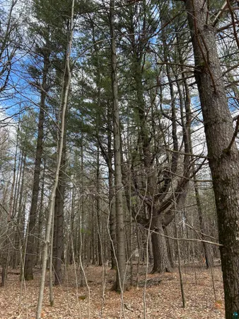 $139,900 | 21 Hwy 63 Shell Lake, Shell Lake, WI 54871