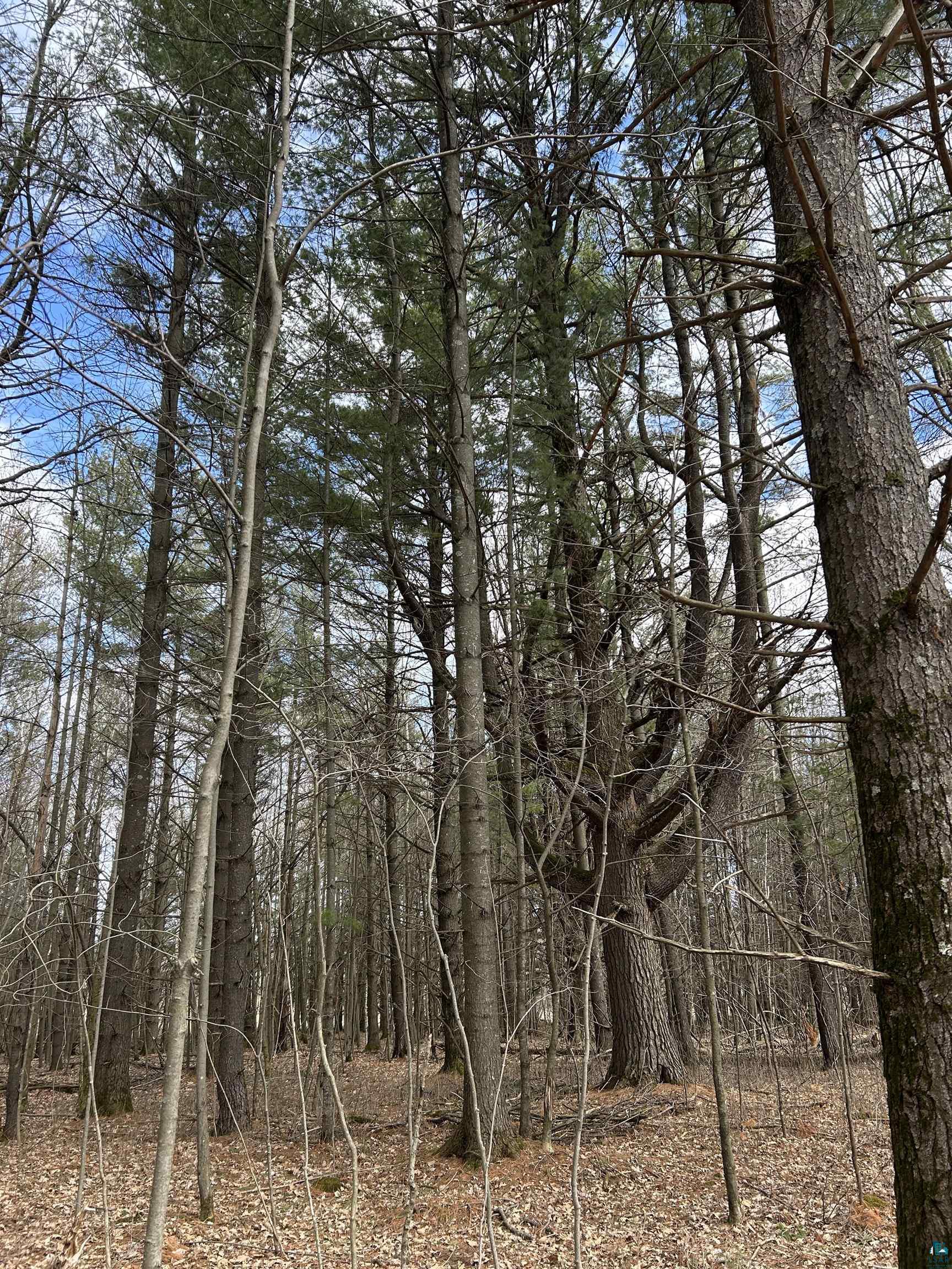 21 Hwy 63 Shell Lake Shell Lake, WI 54871 - Photo 12 of 39