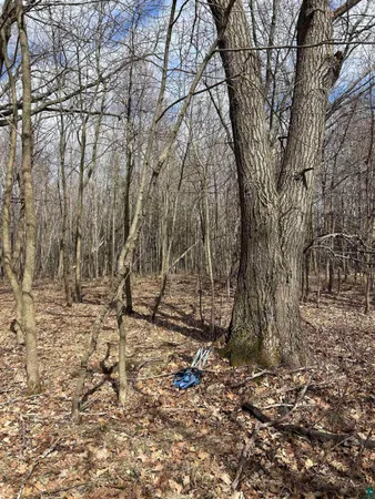 $139,900 | 21 Hwy 63 Shell Lake, Shell Lake, WI 54871