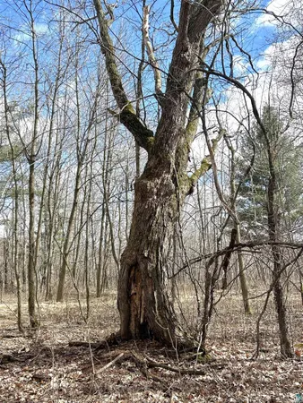 $139,900 | 21 Hwy 63 Shell Lake, Shell Lake, WI 54871