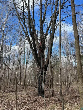 $139,900 | 21 Hwy 63 Shell Lake, Shell Lake, WI 54871