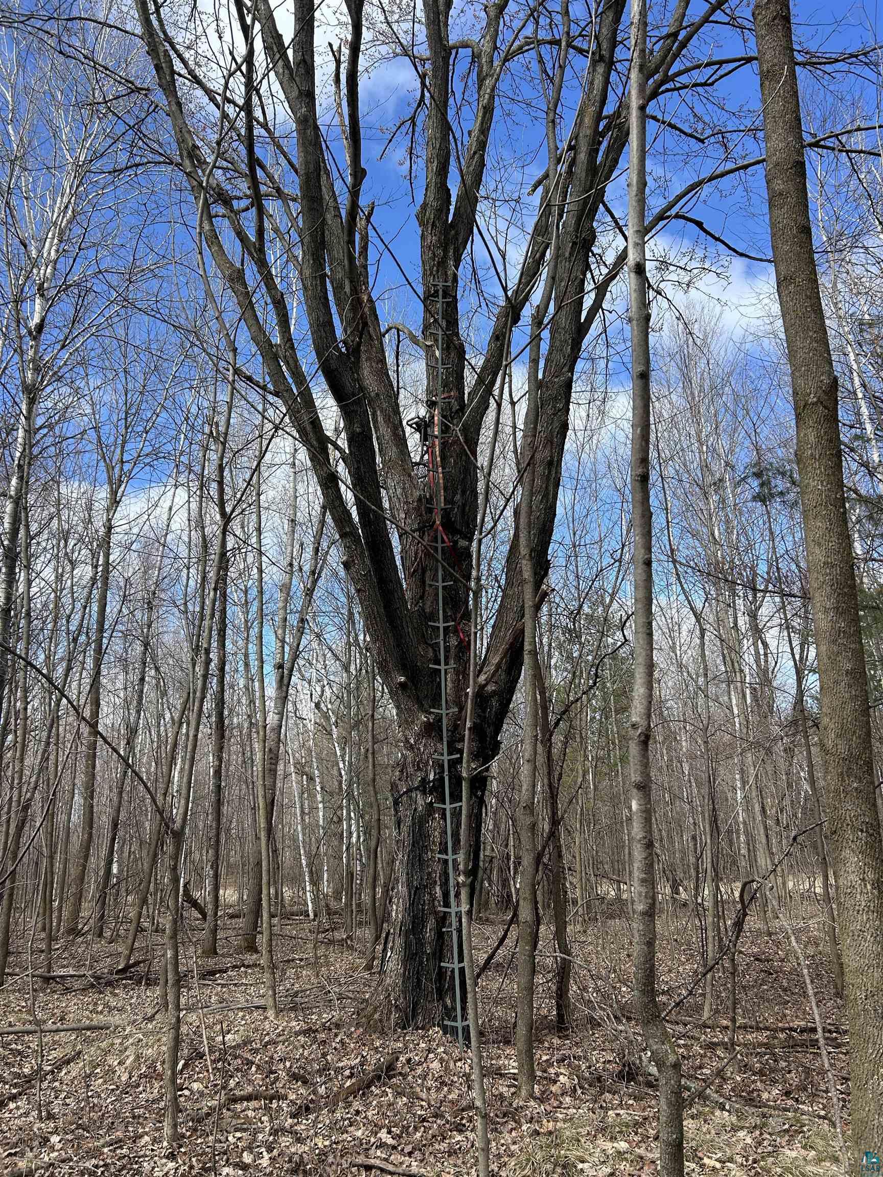 21 Hwy 63 Shell Lake Shell Lake, WI 54871 - Photo 15 of 39