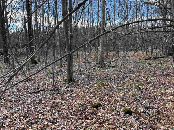 $139,900 | 21 Hwy 63 Shell Lake, Shell Lake, WI 54871