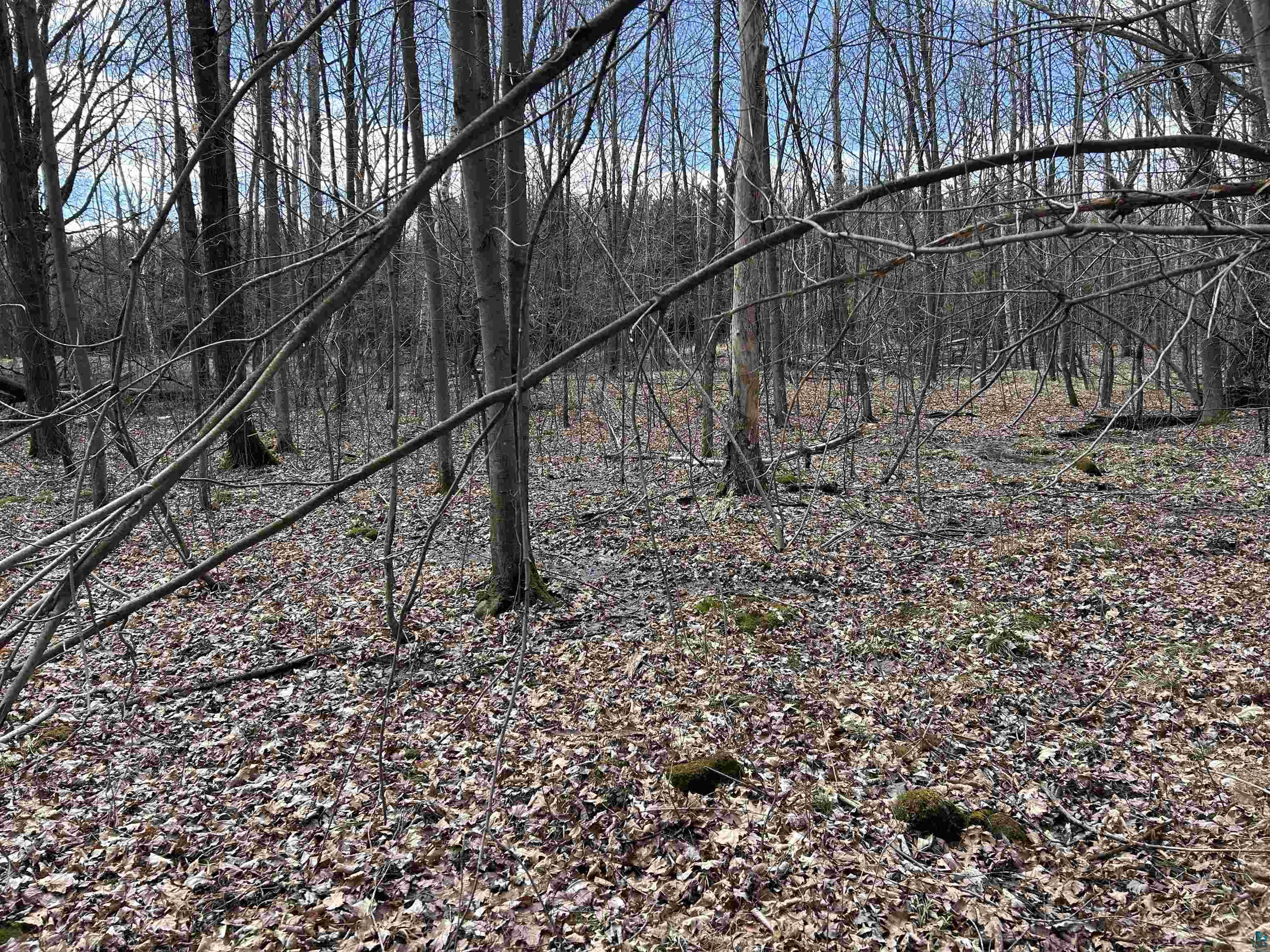 21 Hwy 63 Shell Lake Shell Lake, WI 54871 - Photo 16 of 39