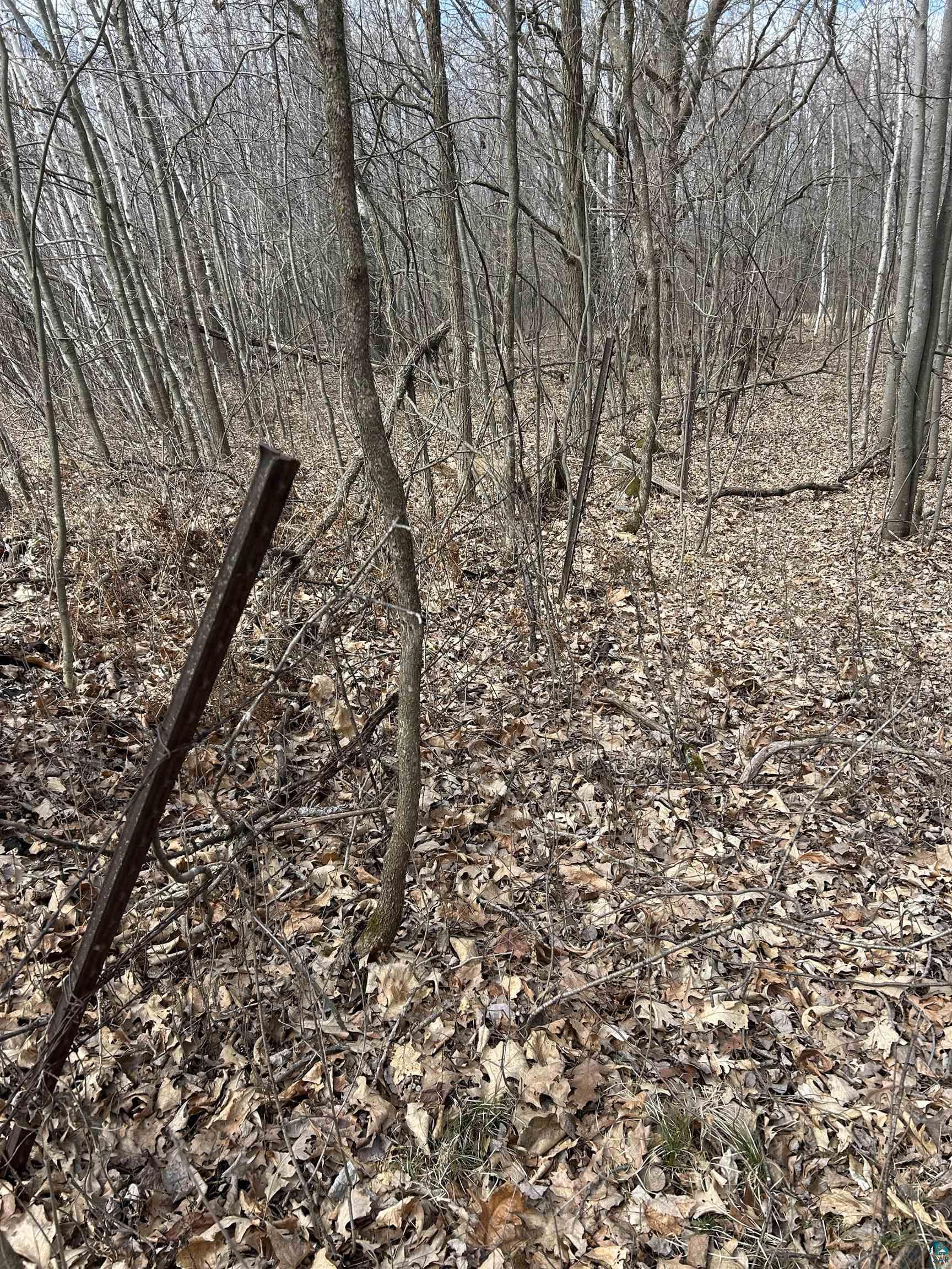 21 Hwy 63 Shell Lake Shell Lake, WI 54871 - Photo 17 of 39