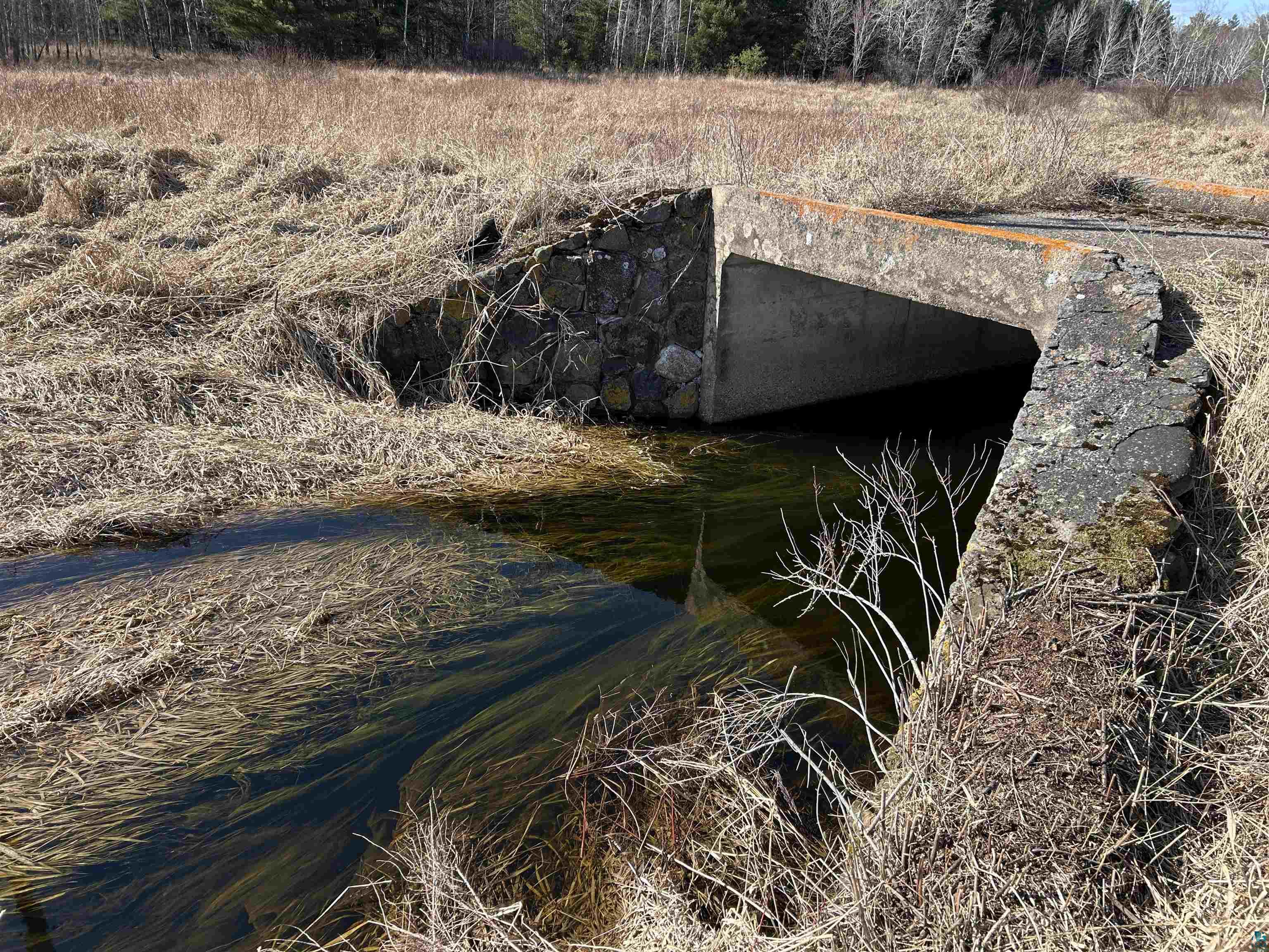 21 Hwy 63 Shell Lake Shell Lake, WI 54871 - Photo 6 of 39