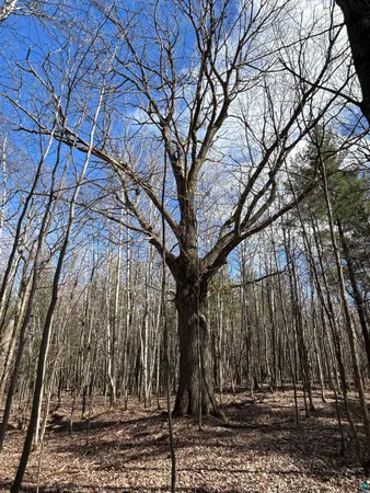 $139,900 | 21 Hwy 63 Shell Lake, Shell Lake, WI 54871