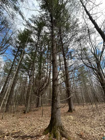 $139,900 | 21 Hwy 63 Shell Lake, Shell Lake, WI 54871