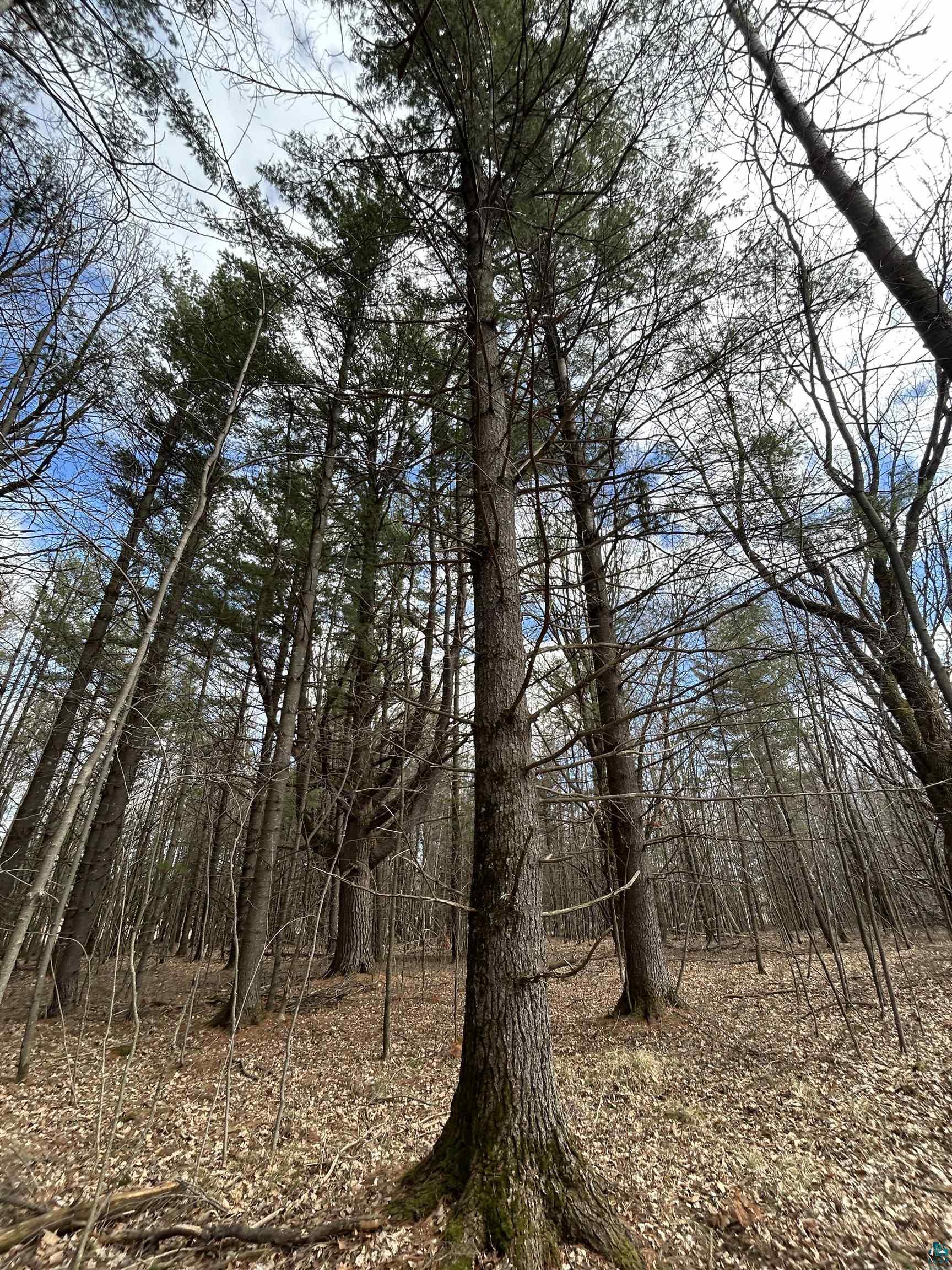 21 Hwy 63 Shell Lake Shell Lake, WI 54871 - Photo 9 of 39