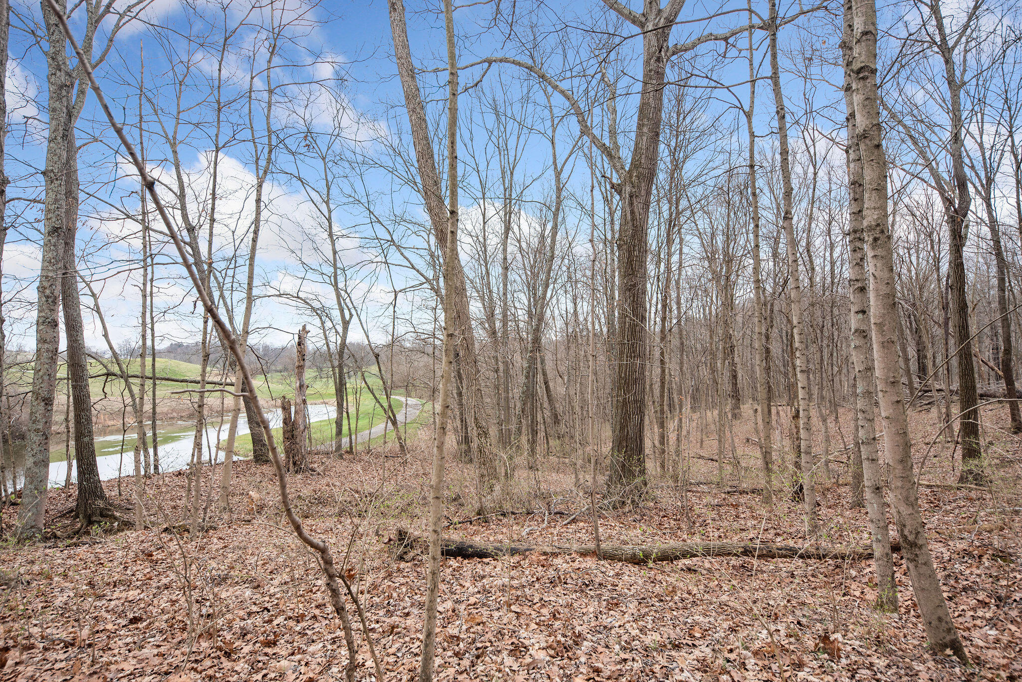 0 Painter Road California, KY 41007 - Photo 10 of 26