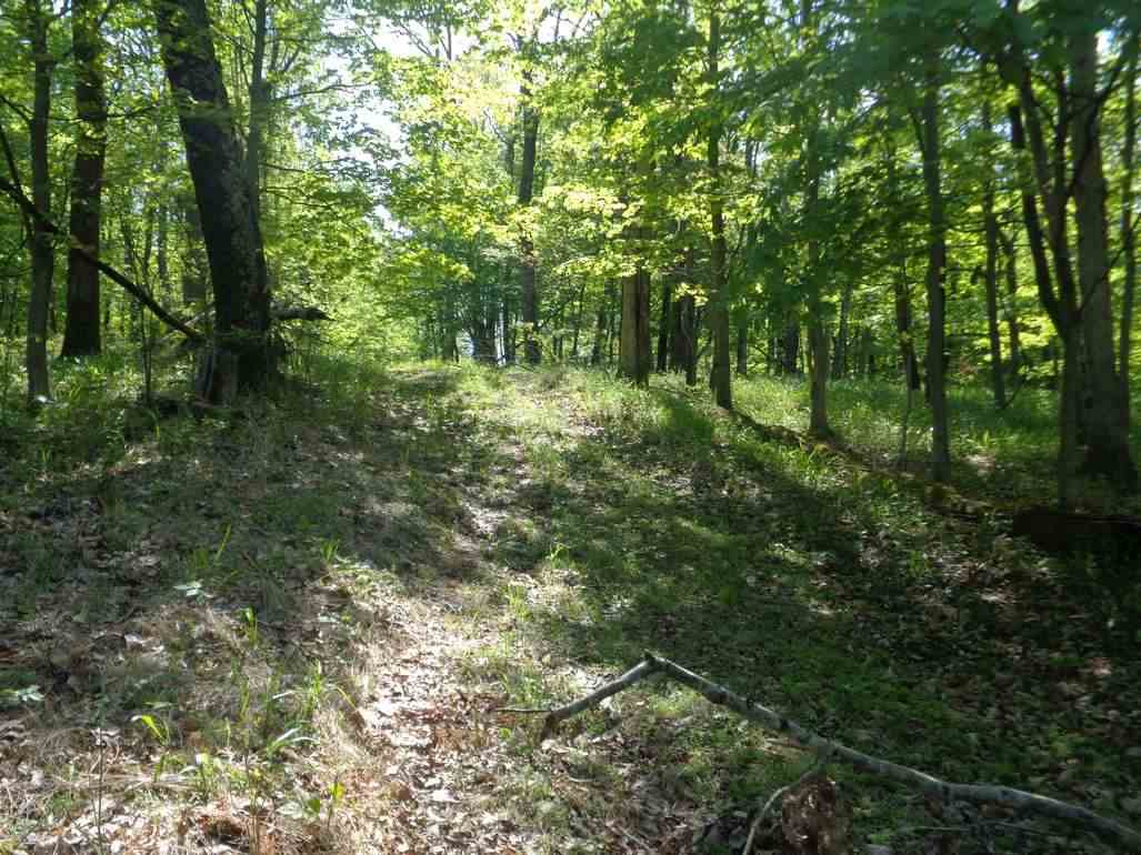 0 Rush Hollow Road Ona, WV 25545 - Photo 1 of 11 Gallery Image 1
