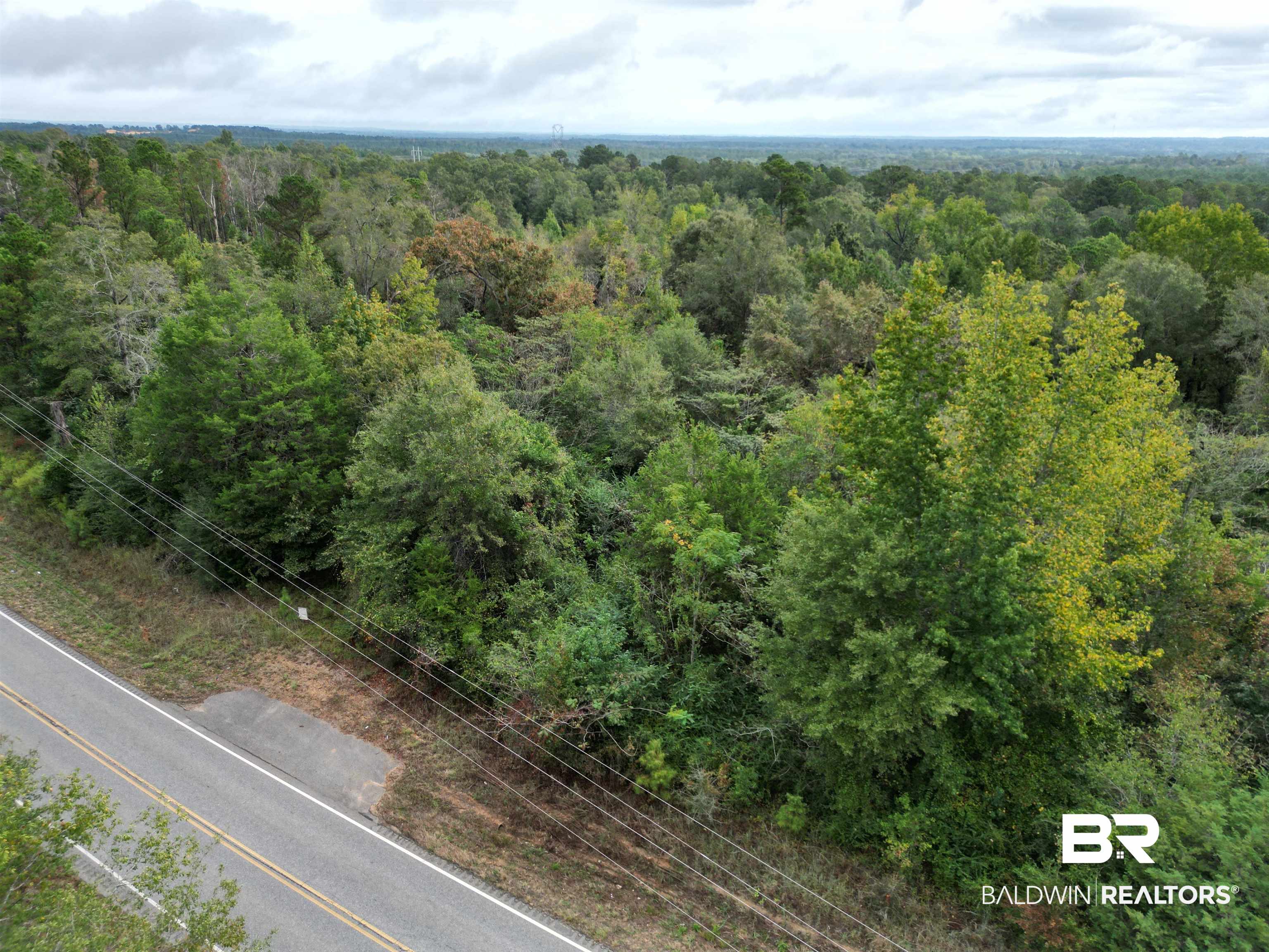 17606 Highway 41 Brewton, AL 36426 - Photo 9 of 13 Bird's eye view