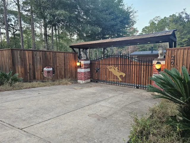 a view of a forest filled with trees