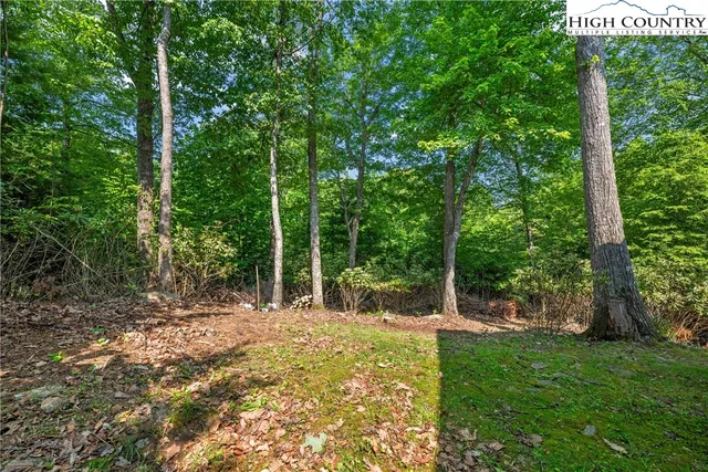 $749,000 | 218 Sorrento Falls Road, Blowing Rock, NC 28605