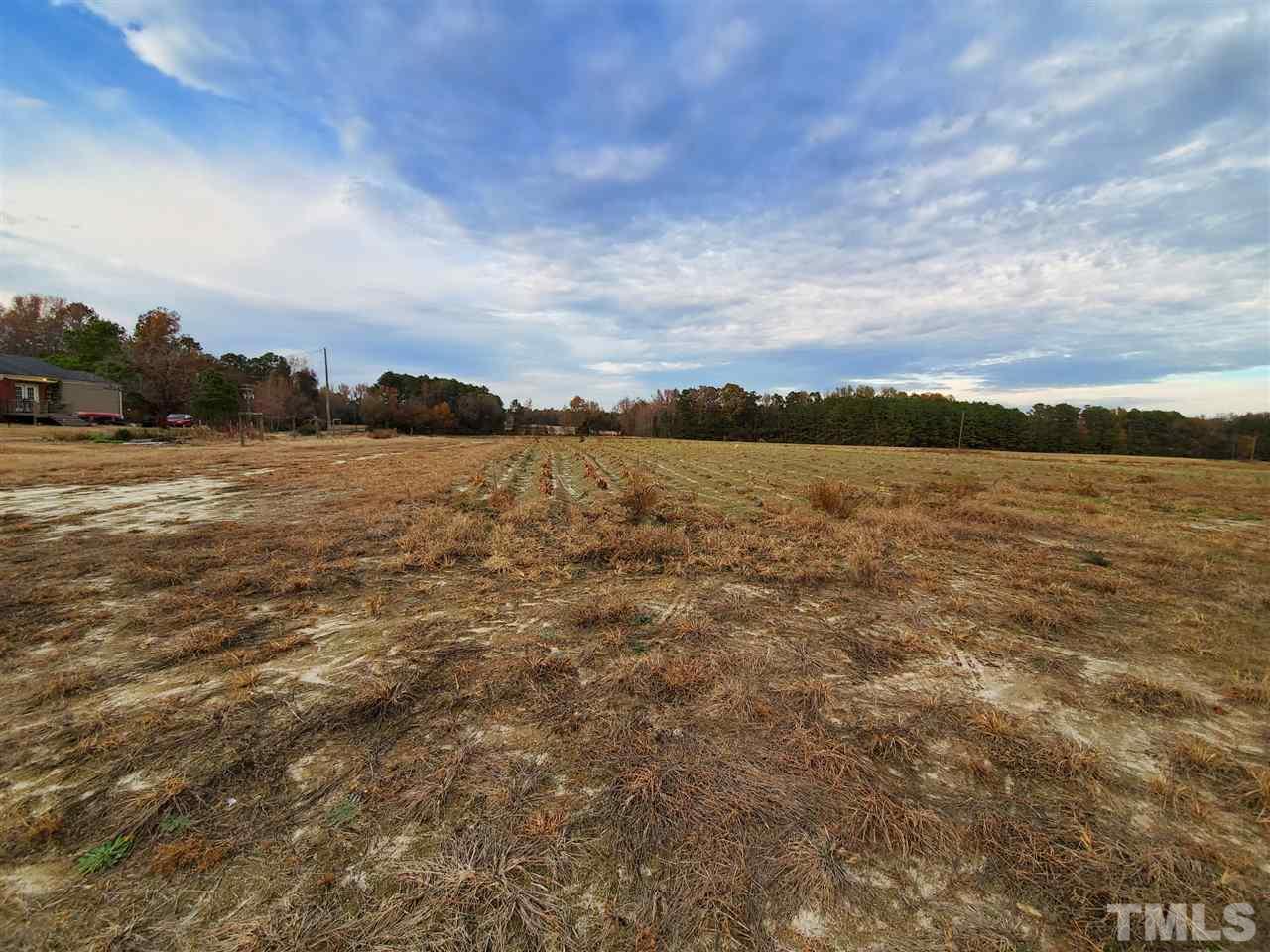 0 Edgemont Road Wendell, NC 27591 - Photo 3 of 10