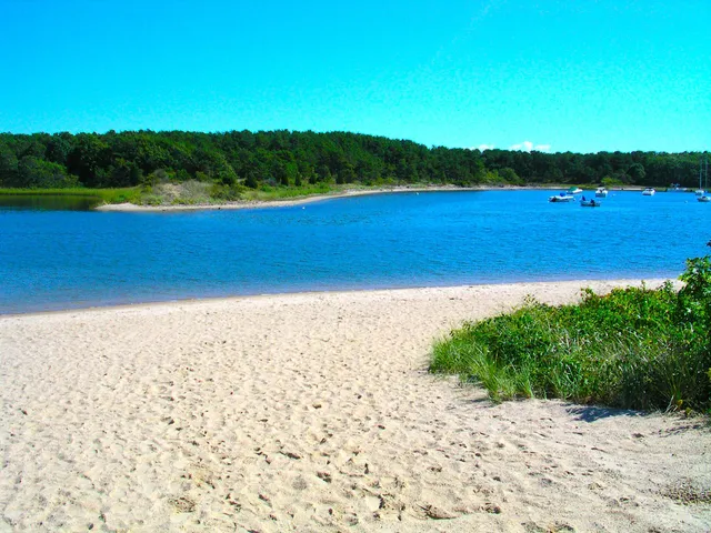 a view of an ocean and beach