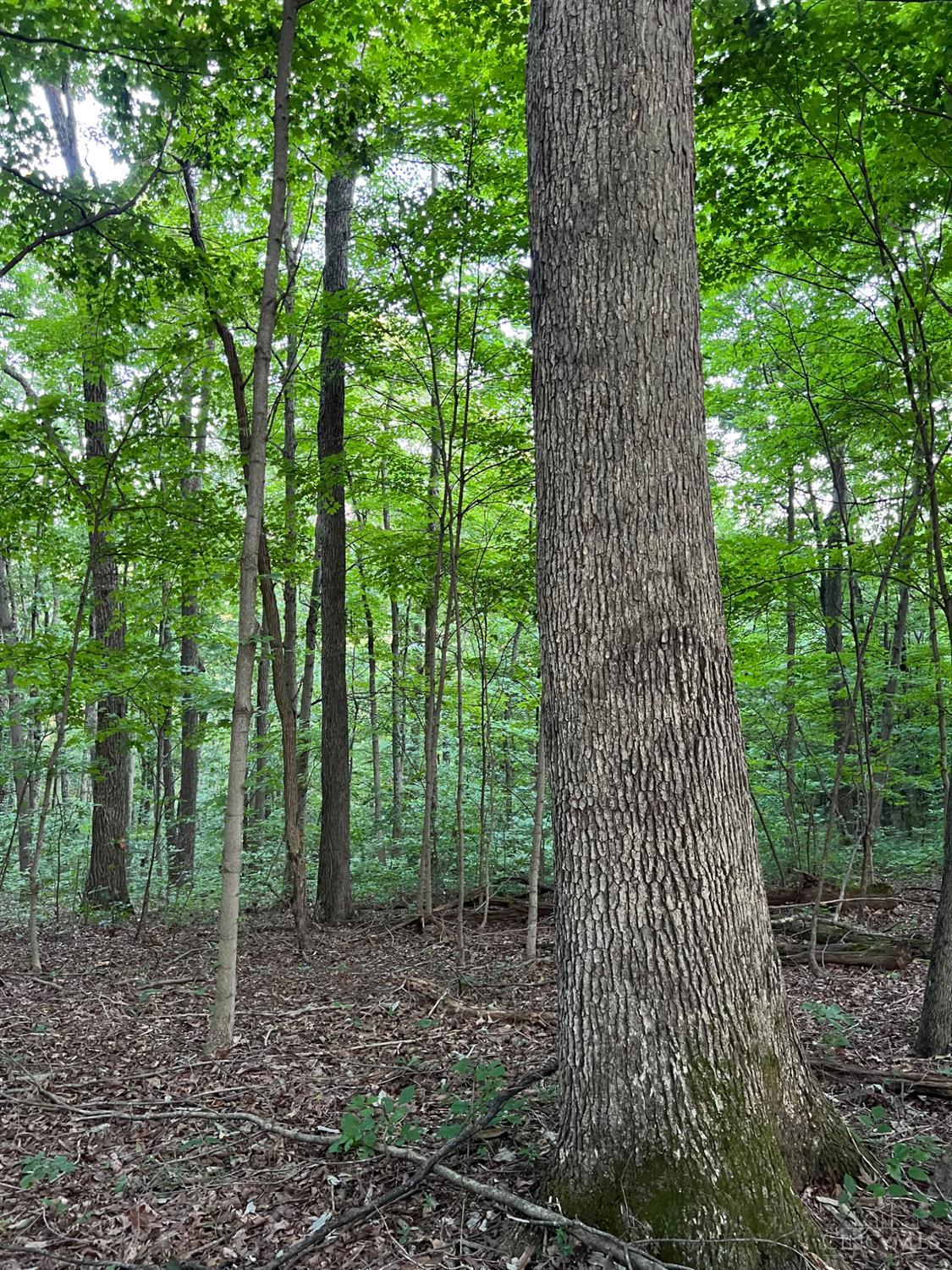 0 Tabernacle Road Chillicothe, OH 45601 - Photo 12 of 64