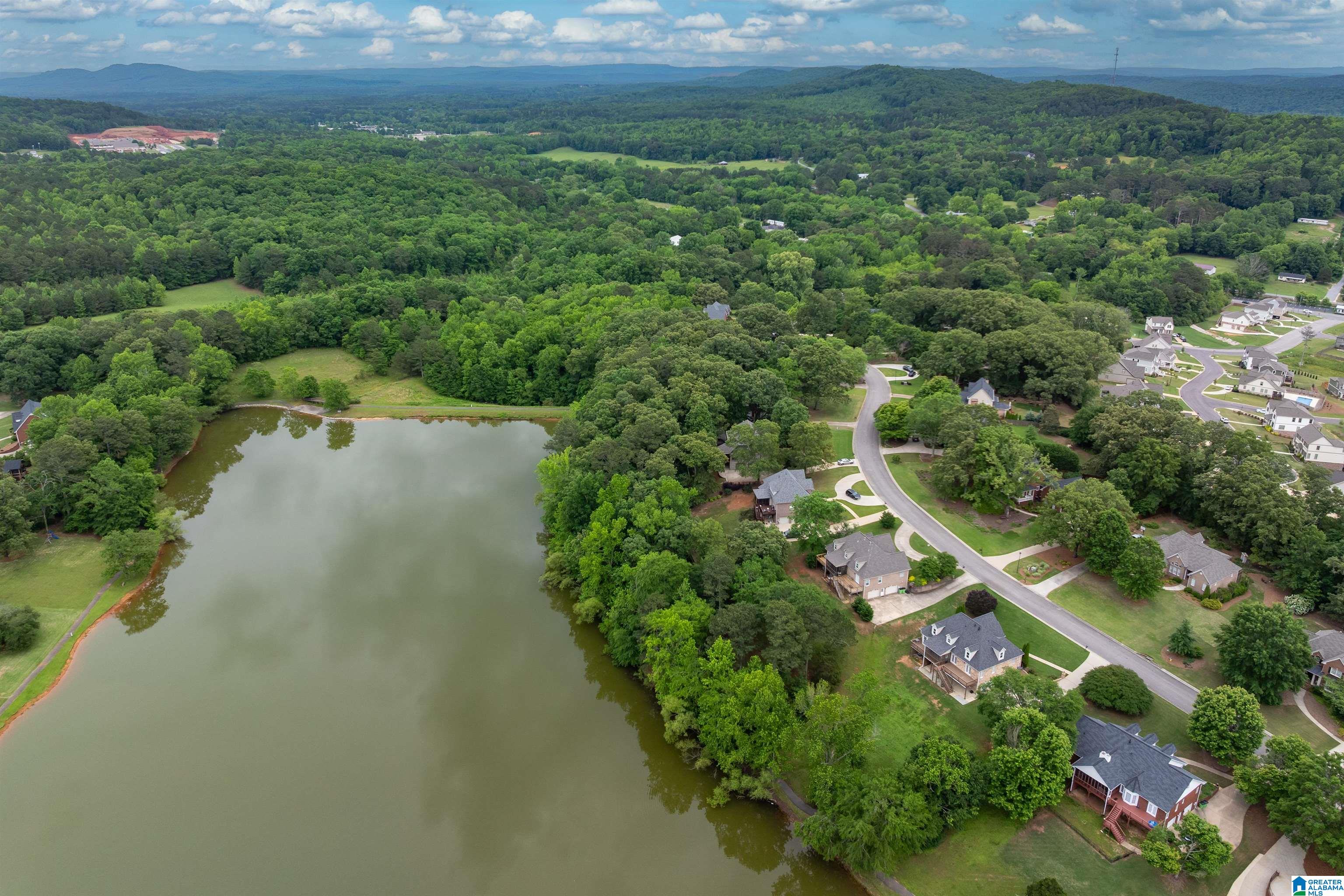 408 MacDonald Lk Road Springville, AL 35146 - Photo 57 of 65