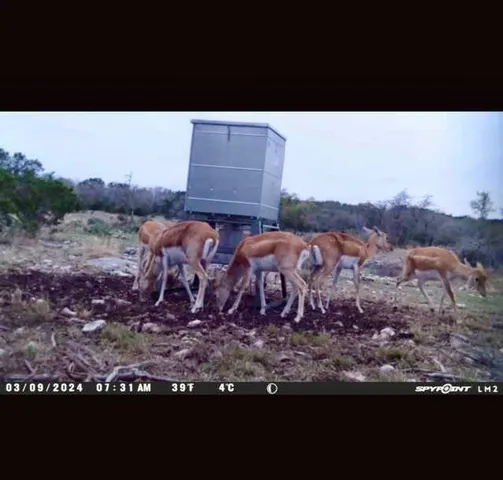 a view of entryway and hall