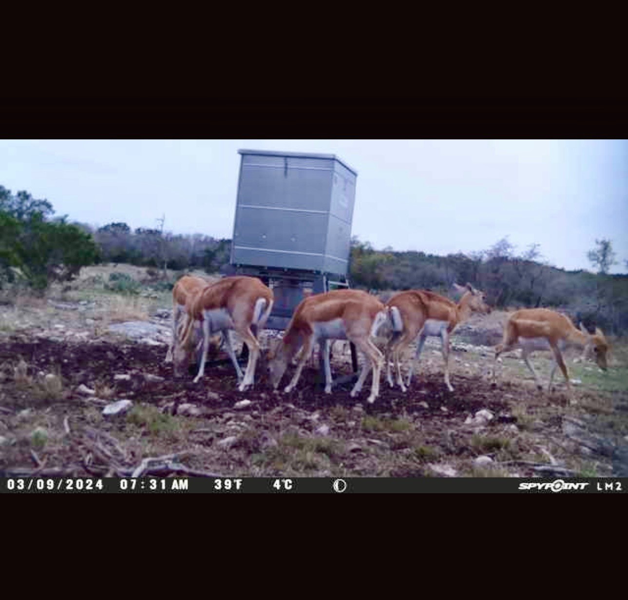 220 Rattlesnake Road Northwest Junction, TX 76849 - Photo 11 of 38 a view of a outdoor space