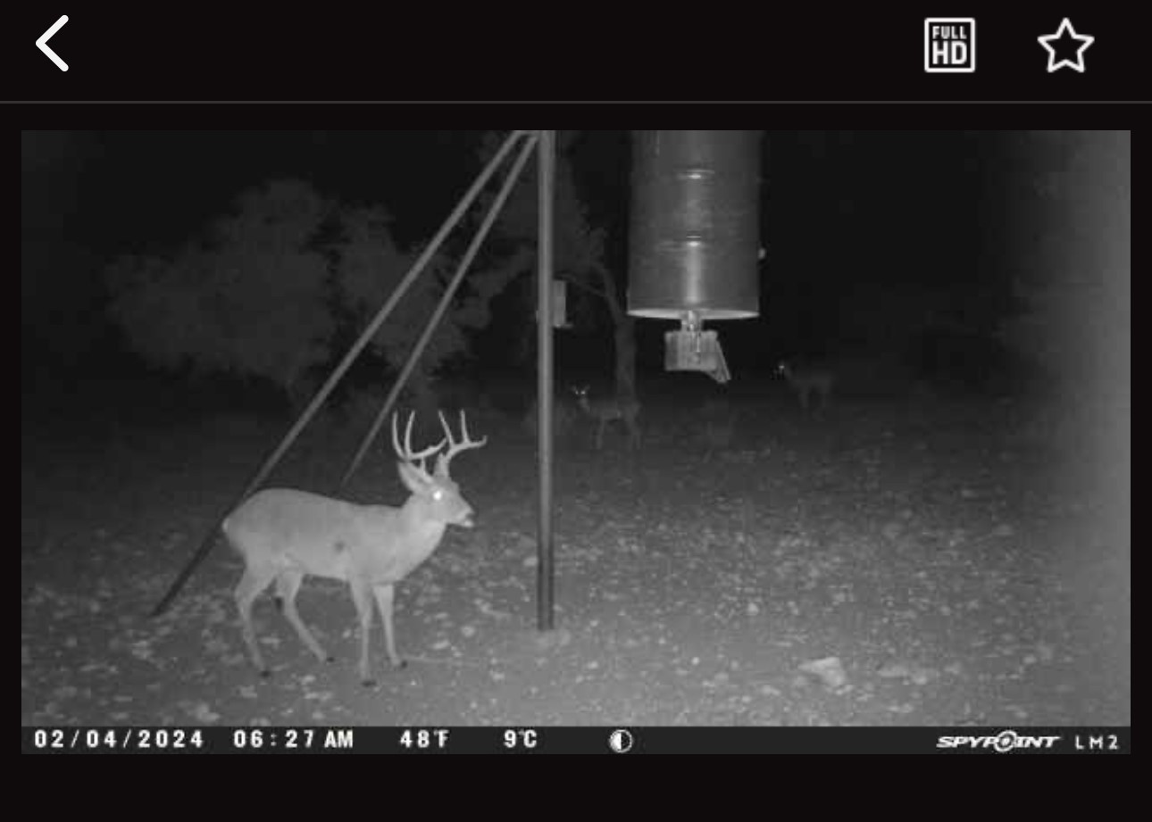 220 Rattlesnake Road Northwest Junction, TX 76849 - Photo 12 of 38 a view of entryway and hall