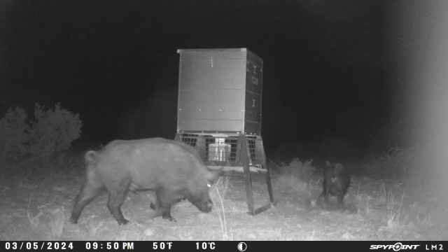 220 Rattlesnake Road Northwest Junction, TX 76849 - Photo 13 of 38 a bathroom with a sink