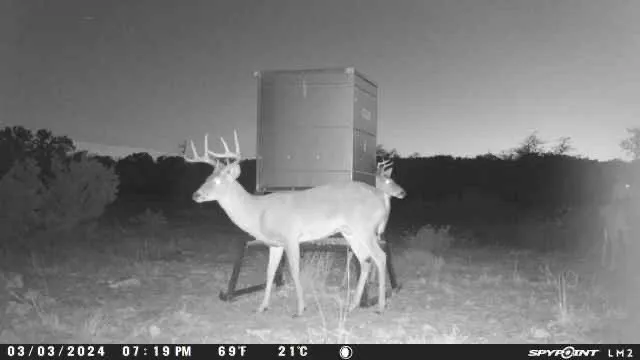 a view of a backyard with table and chairs