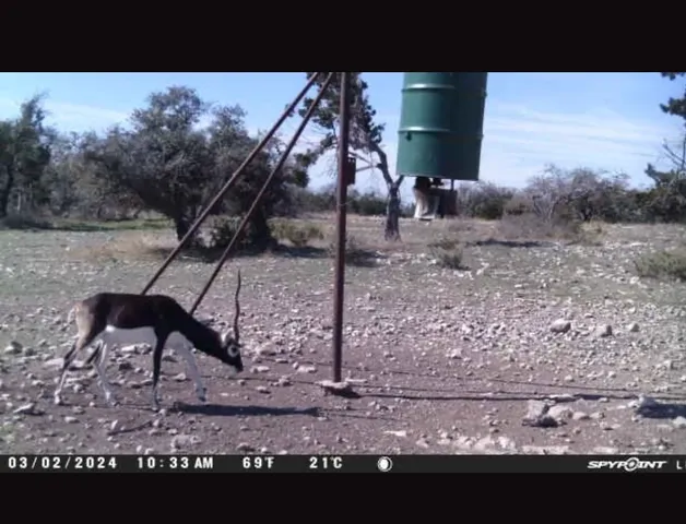 a view of a back yard