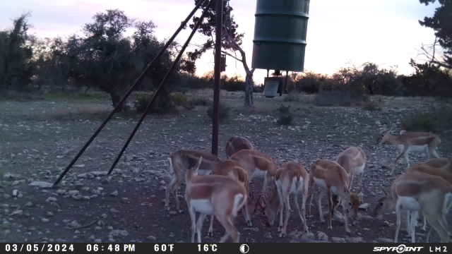 220 Rattlesnake Road Northwest Junction, TX 76849 - Photo 10 of 38 a view of a back yard
