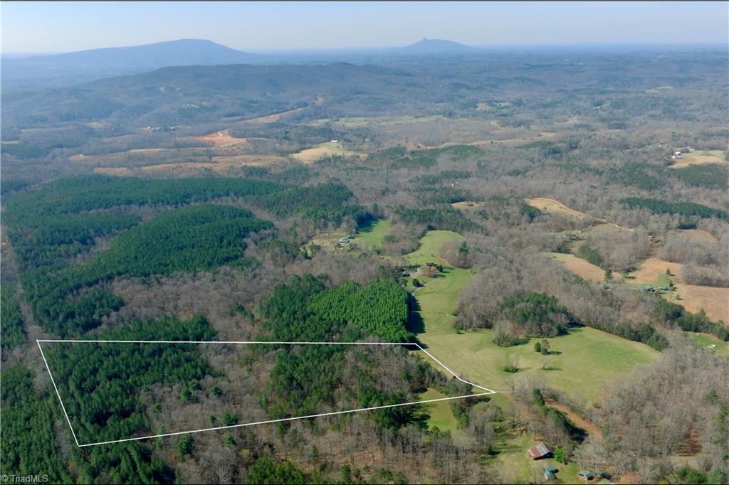 1019-3 George Road Westfield, NC 27053 - Photo 3 of 16